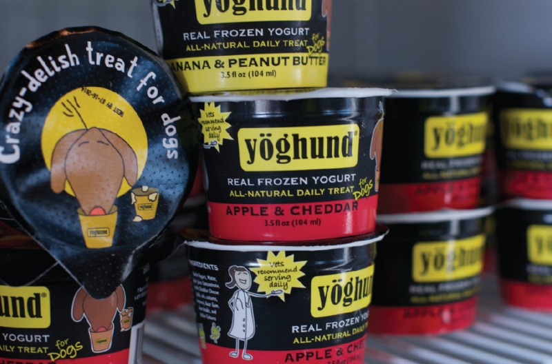 01-yoghund-banana-peanut-butter-yogurt-dogs-web